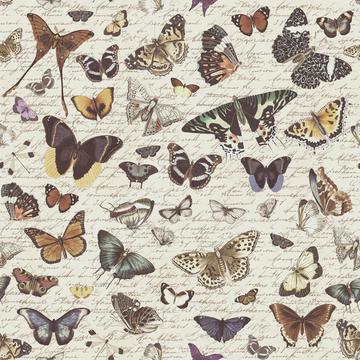 Butterfly Nostalgia