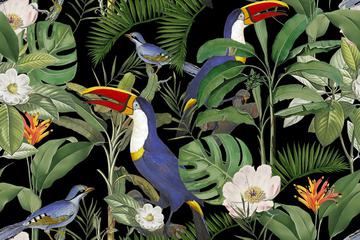 Tropical Jungle Toucans MASTER KORREK