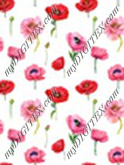 Anzac Poppies White