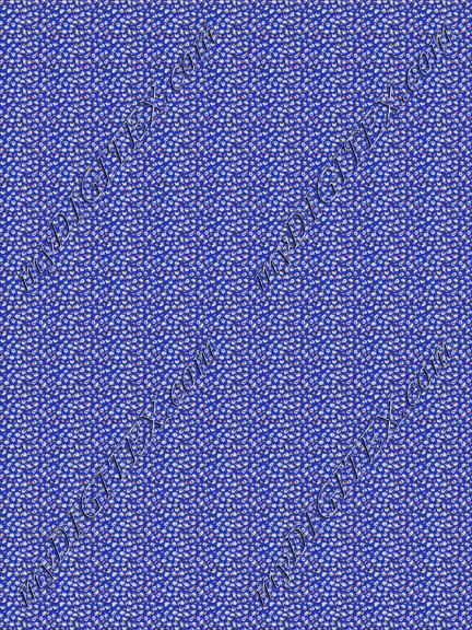 Bam-0018 IND