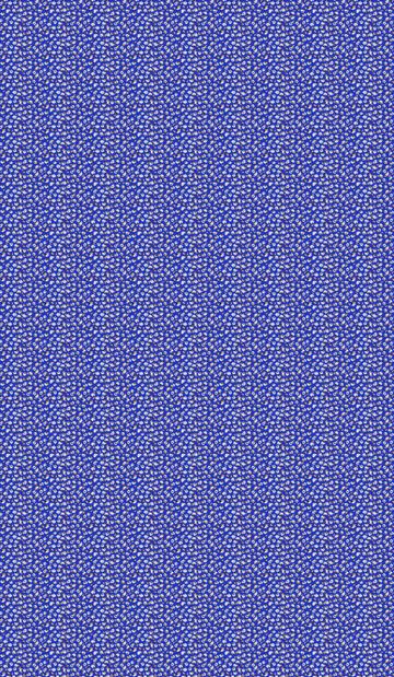 Bam-0018 IND