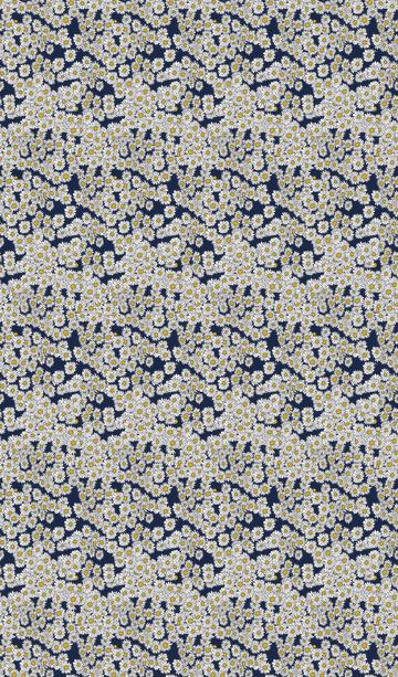 ERW_0013_IND