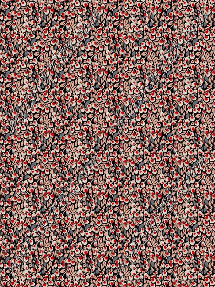 ERW_0014_IND