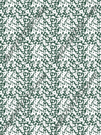 ERW_0017_IND
