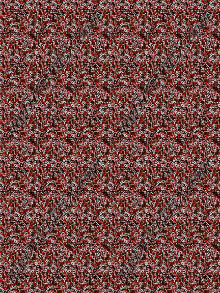 ERW_0020_IND