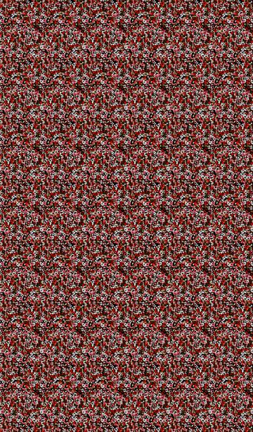 ERW_0020_IND