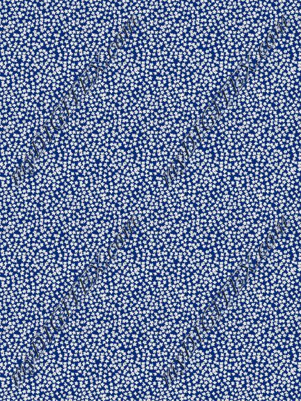 ERW_0021_IND
