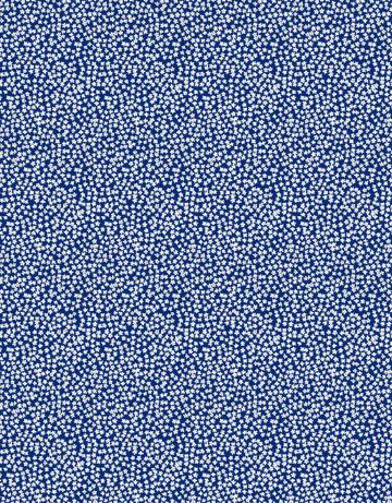 ERW_0021_IND