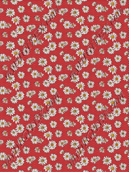 ERW_0022_IND