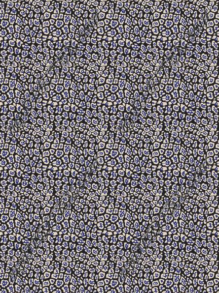 ERW_0026_IND