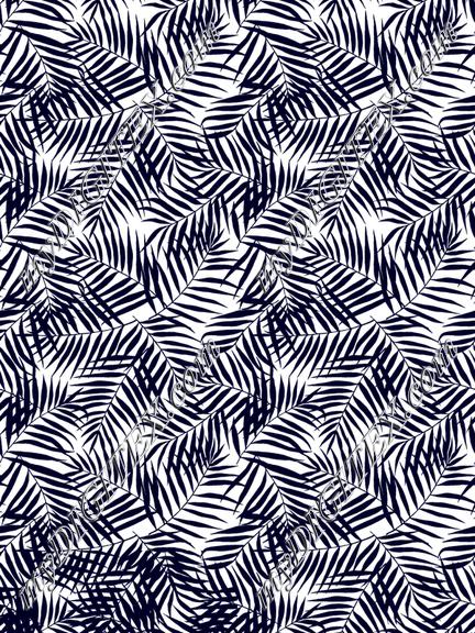 ERW_0031_IND