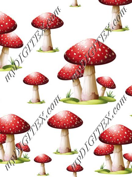 fly agaric Mushrooms