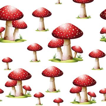 fly agaric Mushrooms