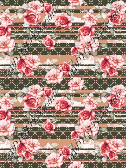 Roses stripe print