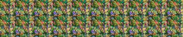 Tinkerbell Neverland