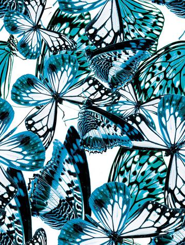 Butterfly texture animal print
