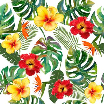 Tropical leaves and flowers on white