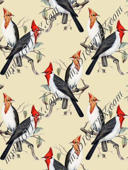 Vintage birds wallpaper
