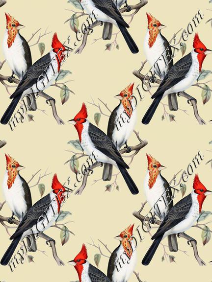 Vintage birds wallpaper