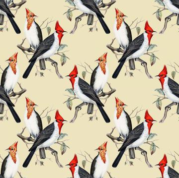 Vintage birds wallpaper