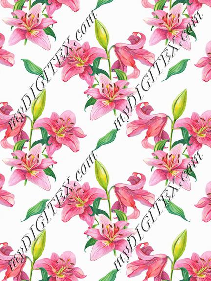 Pink lilies pattern