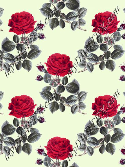 Red roses pattern