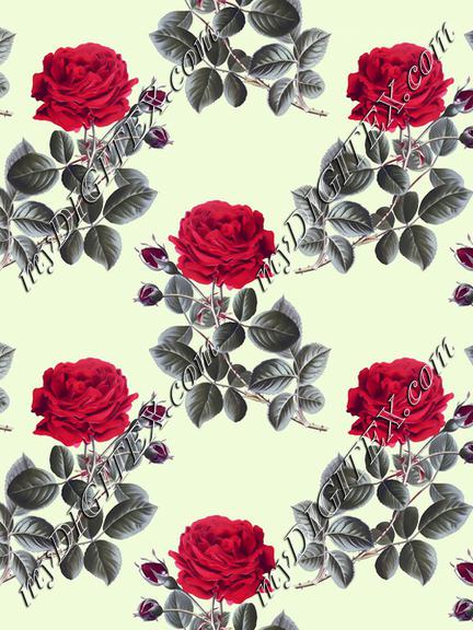 Red roses pattern