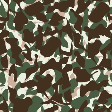 Vintage Military Camouflage Print