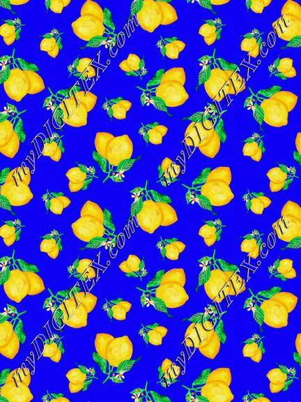ROS030221WhenLifeGivesYouLemonsBlue4-100%