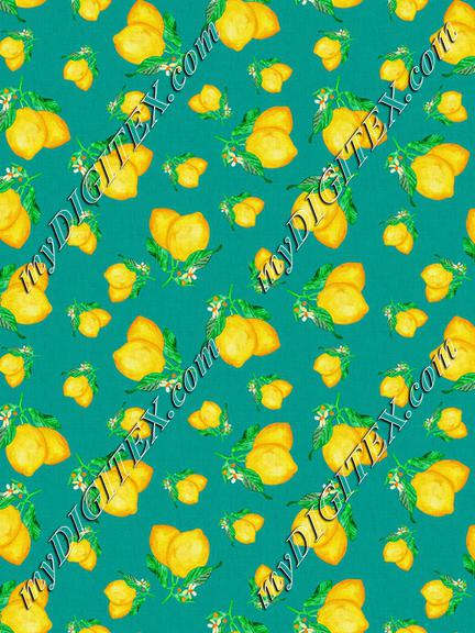 ROS030221WhenLifeGivesYouLemonsTeal-1-100%