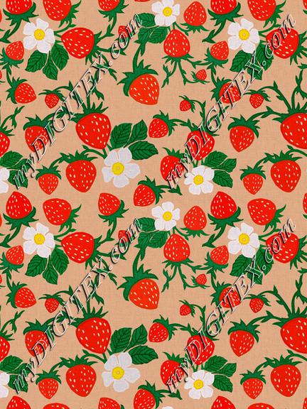 ROS032721EmbroideredStrawberriesCompositionTerracota100%