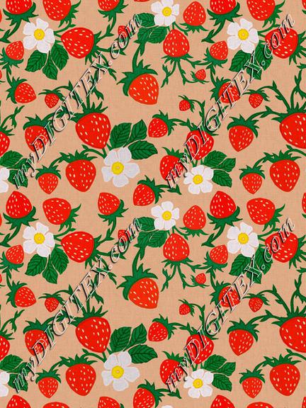 ROS032721EmbroideredStrawberriesCompositionTerracota100%