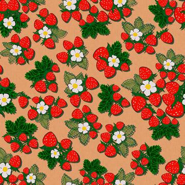 ROS033121EmbroideredStrawberrieTerracota100%