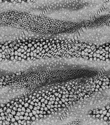 D008252