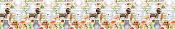 Sketches Woodland Animals White