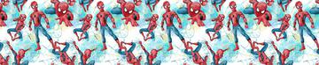 Painted Spiderman