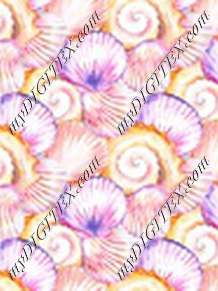 Sea shell Orange