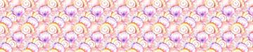 Sea shell Orange