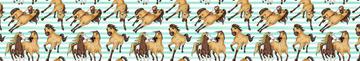 Spirit the Horse Stripe