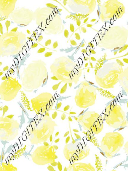 yellow roses white bg-01