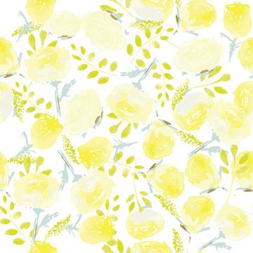 yellow roses white bg-01