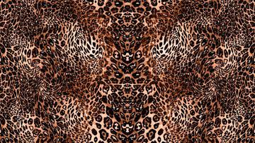 MJ0660_IND