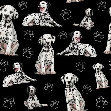 Dalmatian Dogs Black