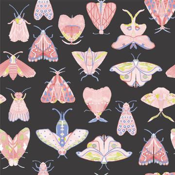 moth pinks gray -01