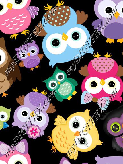 colorful owls on black