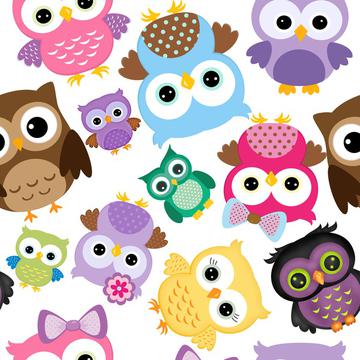 cute owls all sides