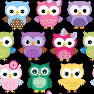 owls black