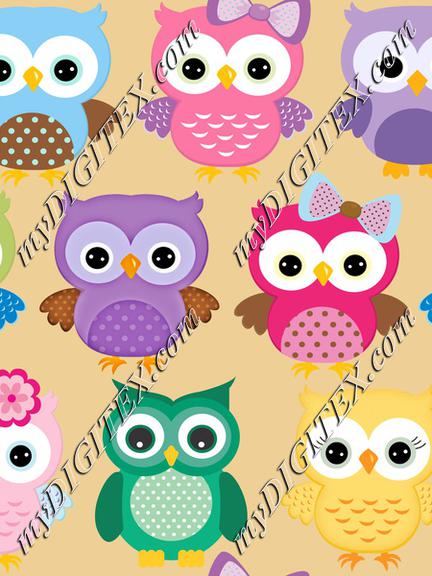 owls neutral