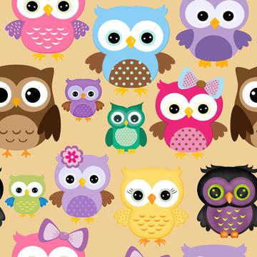 owls various