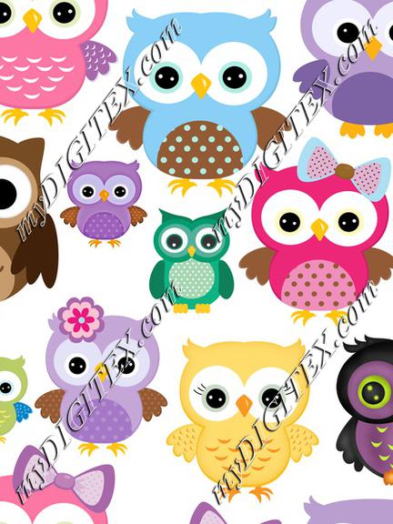 owls various white